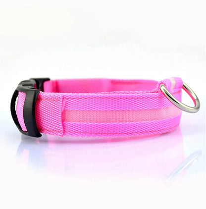 Heart For Pets - LED Halsband