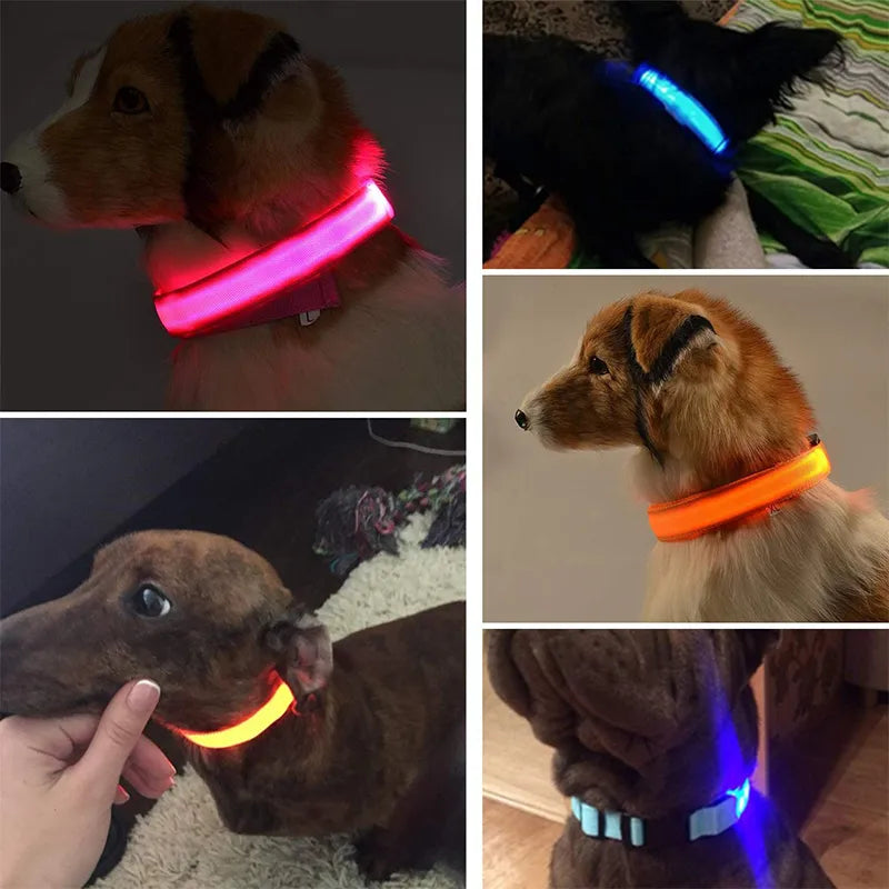 Heart For Pets - LED Halsband